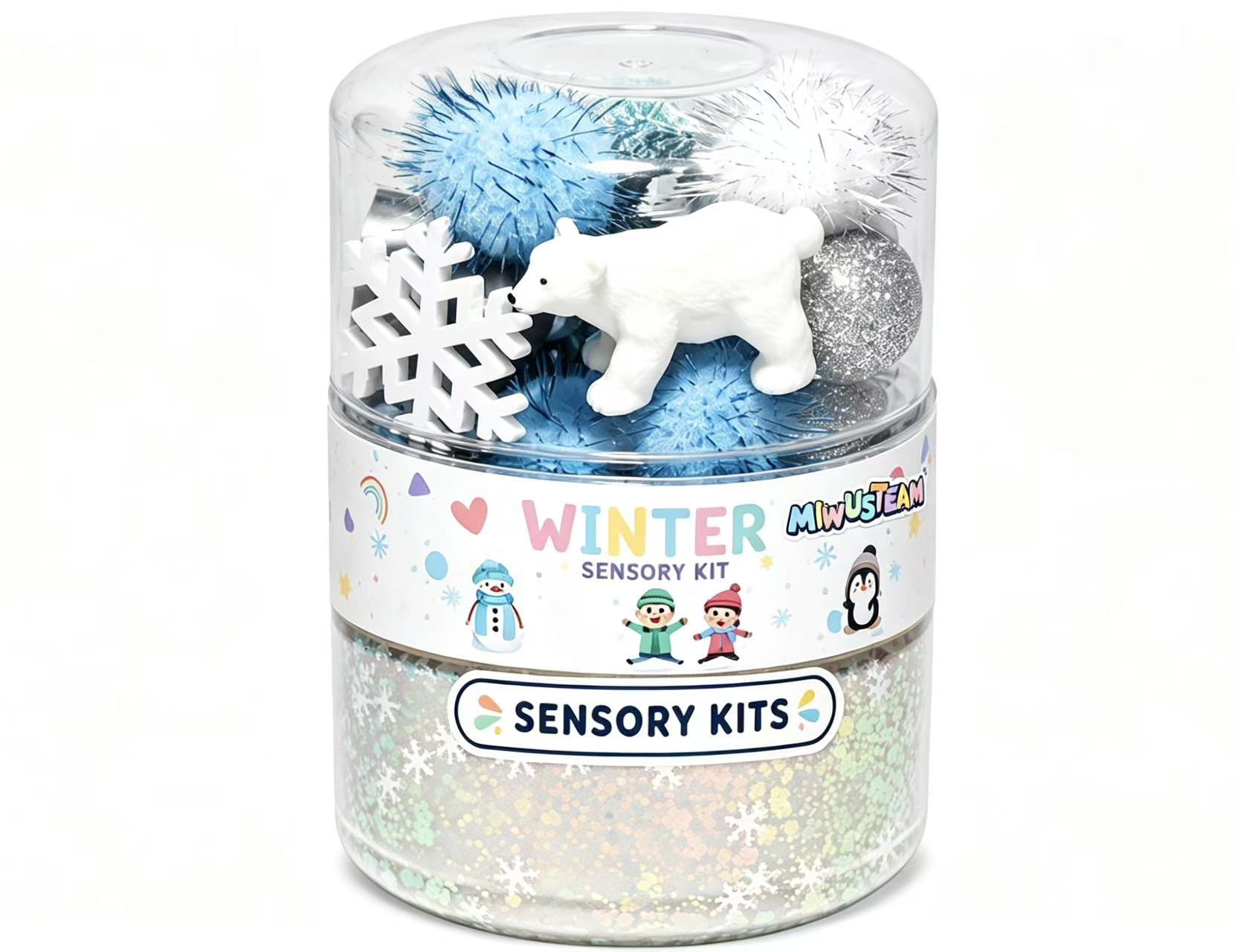 Wintern Sensory Play Dough Kit  